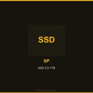 SP SSD 2.5 1TB