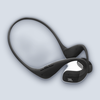JBL Endurance Pace Earbuds