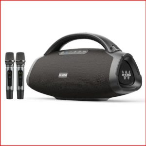 W-King D20 2 200W Speaker