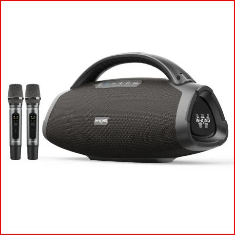 W-King D20 2 200W Speaker