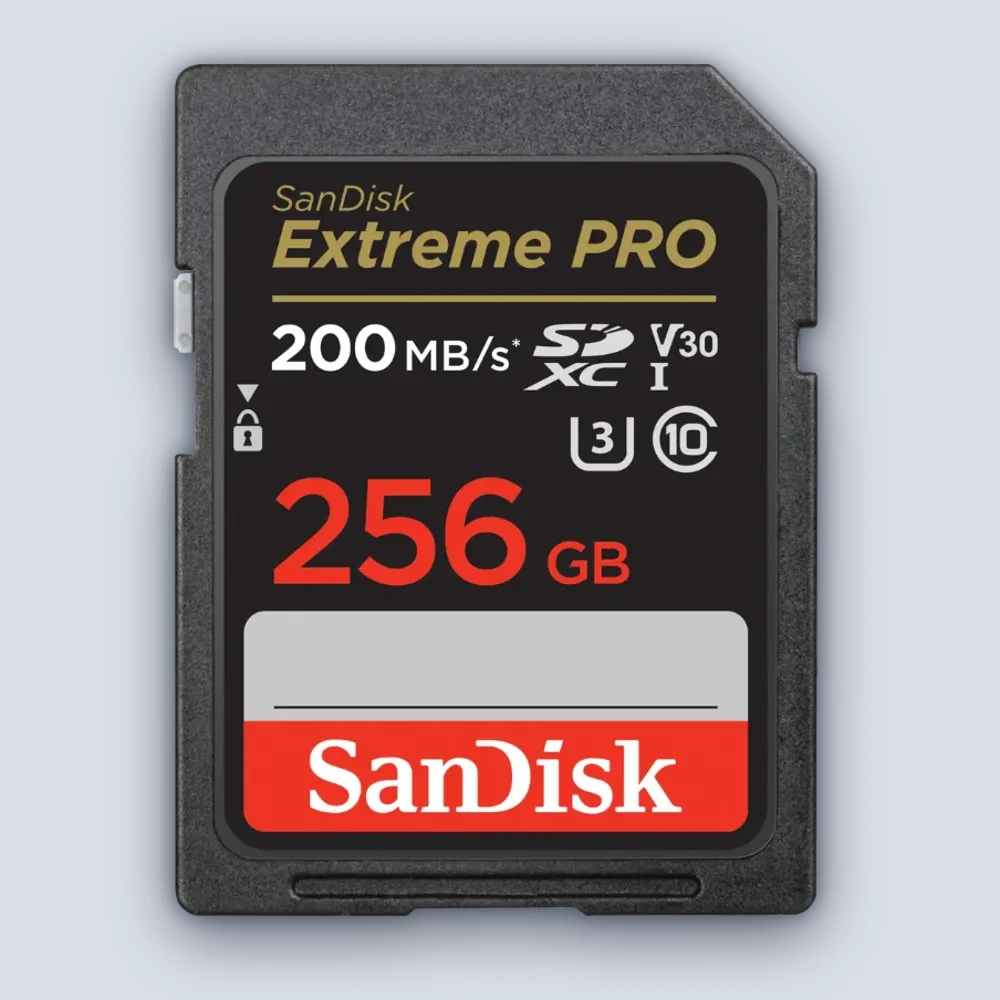 Sandisk Sandisk S.D EX PRO 4K 200S GB256 Flash Drive