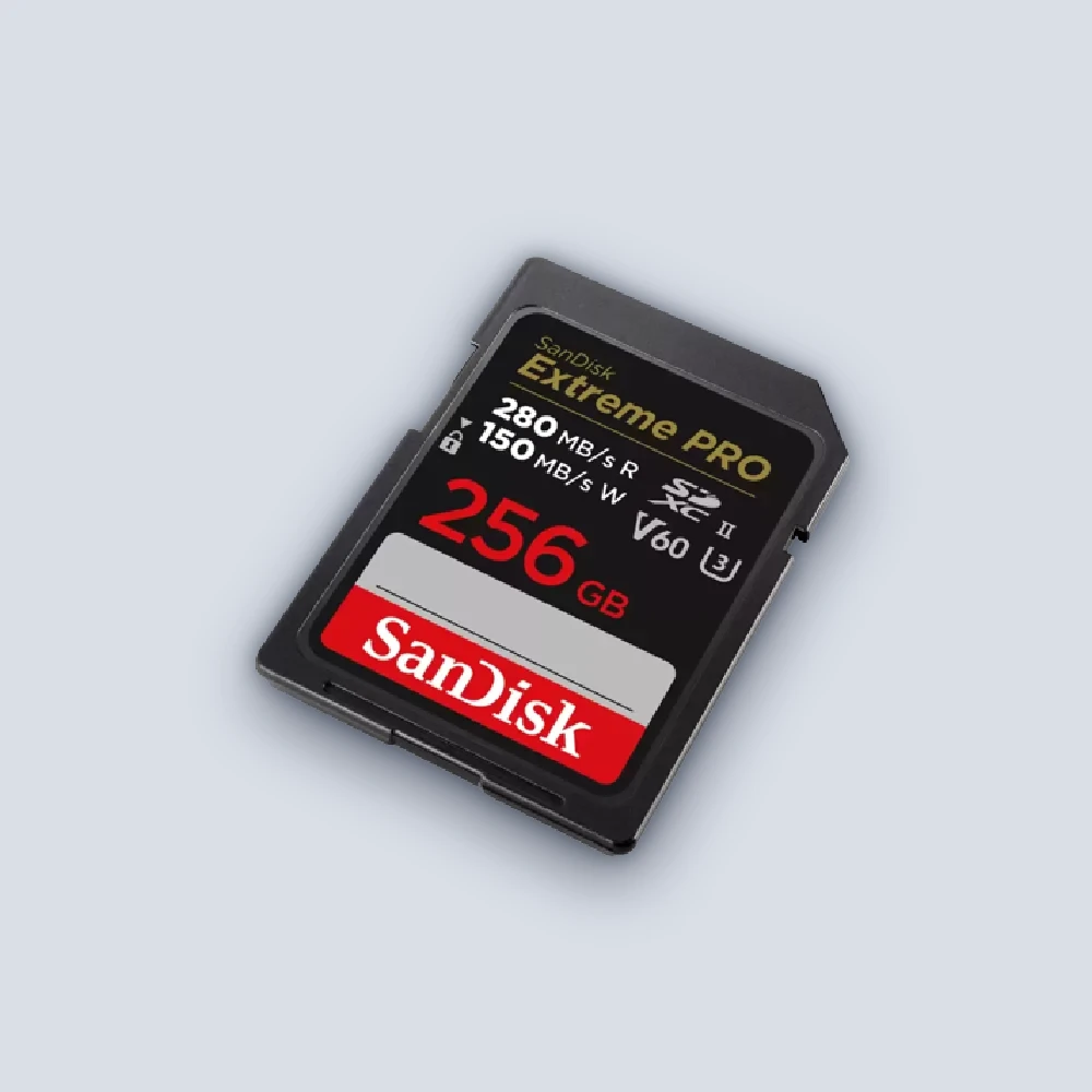 Sandisk Sandisk EX PRO SD 280S V60 6K 256B Flash Drive