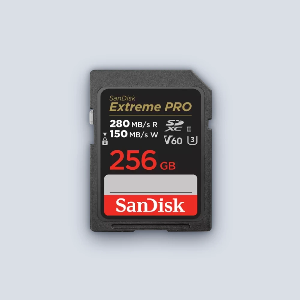 Sandisk Sandisk EX PRO SD 280S V60 6K 256B Flash Drive