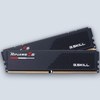 G.Skill Ripjaws S5 DDR5 32GB (2x16GB) 6000 CL30 XMP 3.0 (6000J3036F16GX2)