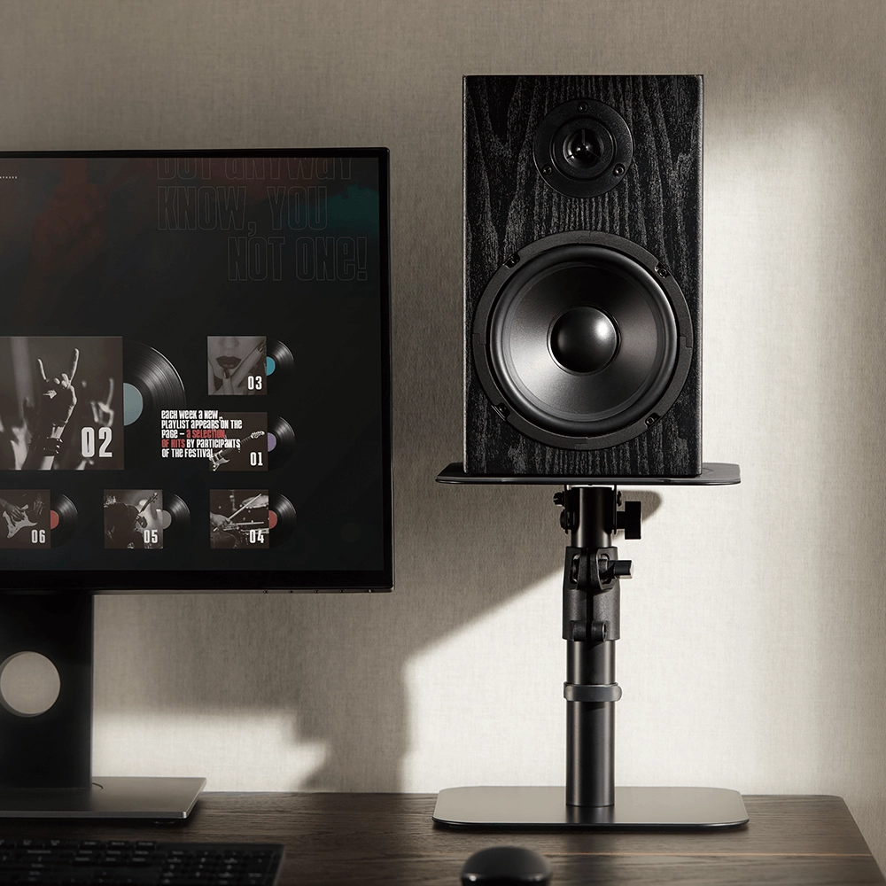 Lumi Lumi BS-69T Speaker