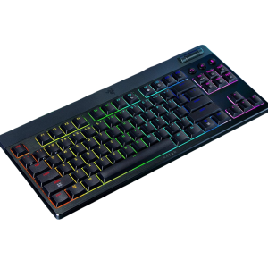 Razer Razer BLACKWIDOW V4 LOW-PROFILE TENKEYLESS HYPERSPEED Keyboard