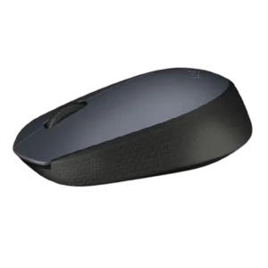 Logitech Logitech M170 Retail Mouse