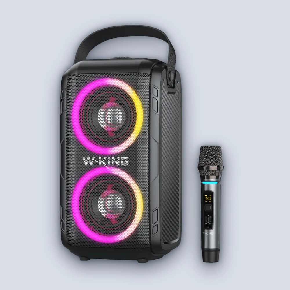 W-King W-King T9 80W Speaker