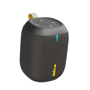 W-King W-King D120 Speaker