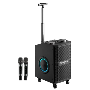 W-King W-King 2 K21SE 120W Speaker