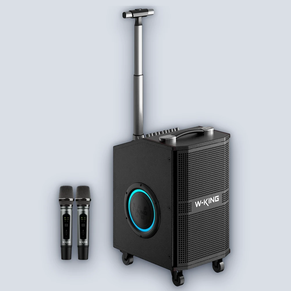 W-King W-King 2 K21SE 120W Speaker