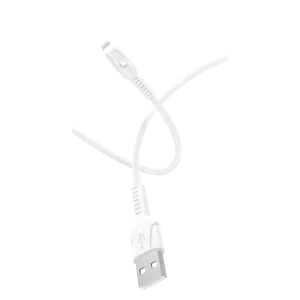 Phone Accessories