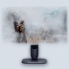 Dell 27″ Alienware OLED 4K UHD 240Hz 0.03ms Gaming Monitor