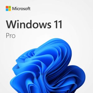 Windows 11 Pro 64 Bit English
