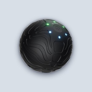Green Lion Massage Ball – Black