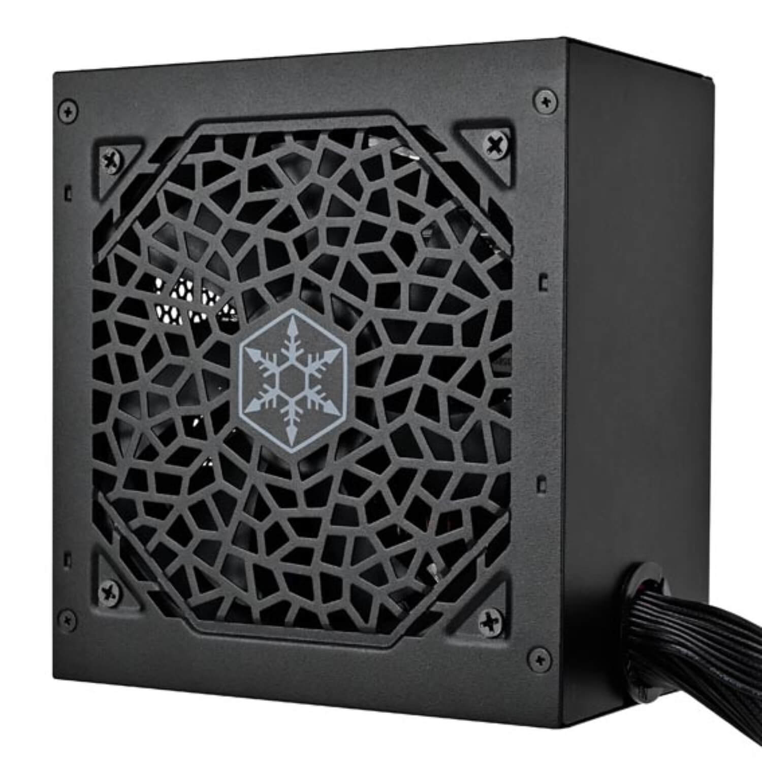 SilverStone Triton 650Rx 650W Gold Power Supply — image 2