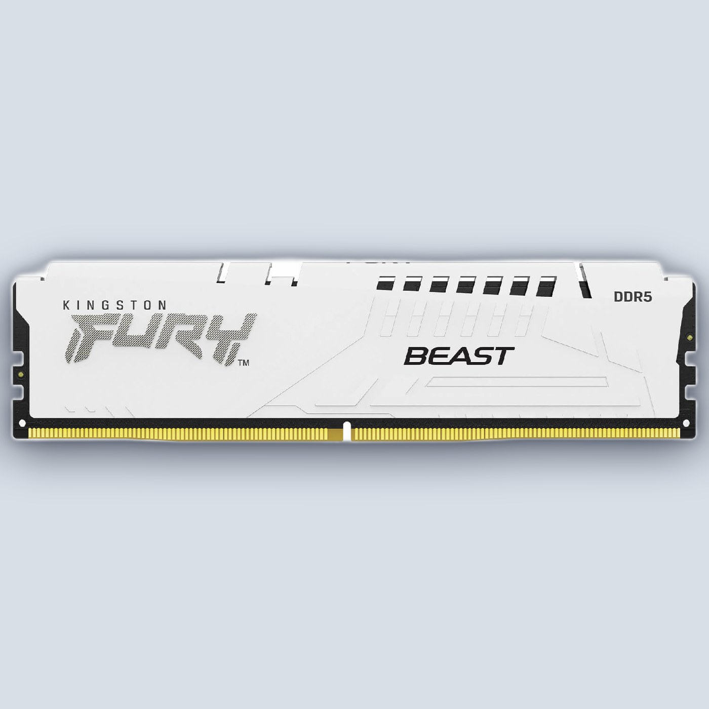 Kingston DDR5 32GB 6000 CL36 FURY Beast White