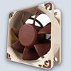 Noctua NF-A6X25 FLX 60MM Fan 3000 RPM