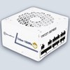 SilverStone 1000W Triton 1000Rz Gold ATX 3.1 Fully Modular Power Supply White