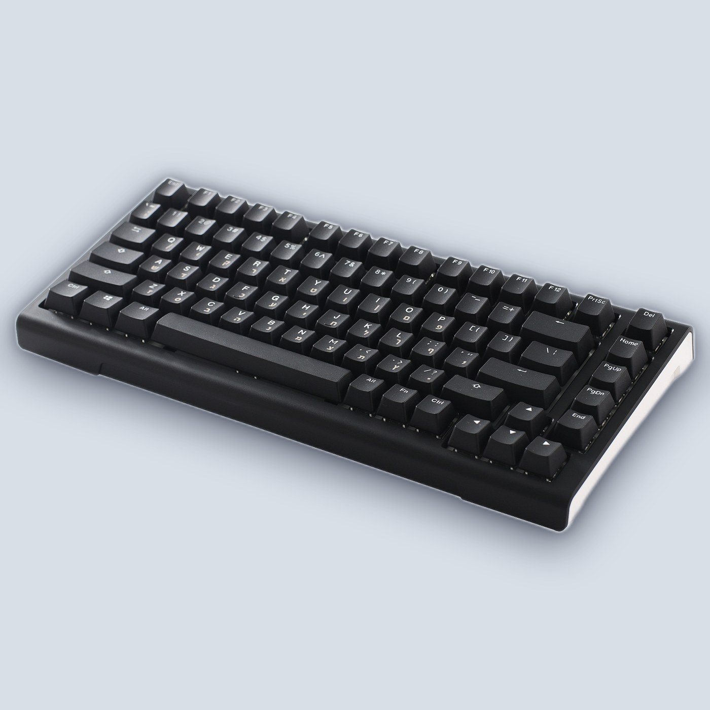 Ducky ProjectD Tinker 75 Cherry Silver Switch (Hebrew/English) Mechanical Keyboard — image 5