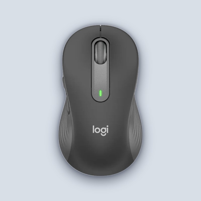 Logitech M650 LARGE 2.4/BT Mouse