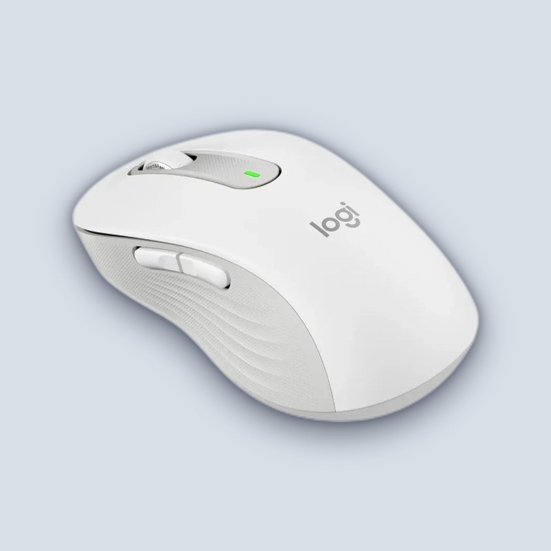 Logitech M650 LARGE 2.4/BT Mouse