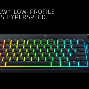 Blackwidow V4 Tenkeyless Hyperspeed Wireless